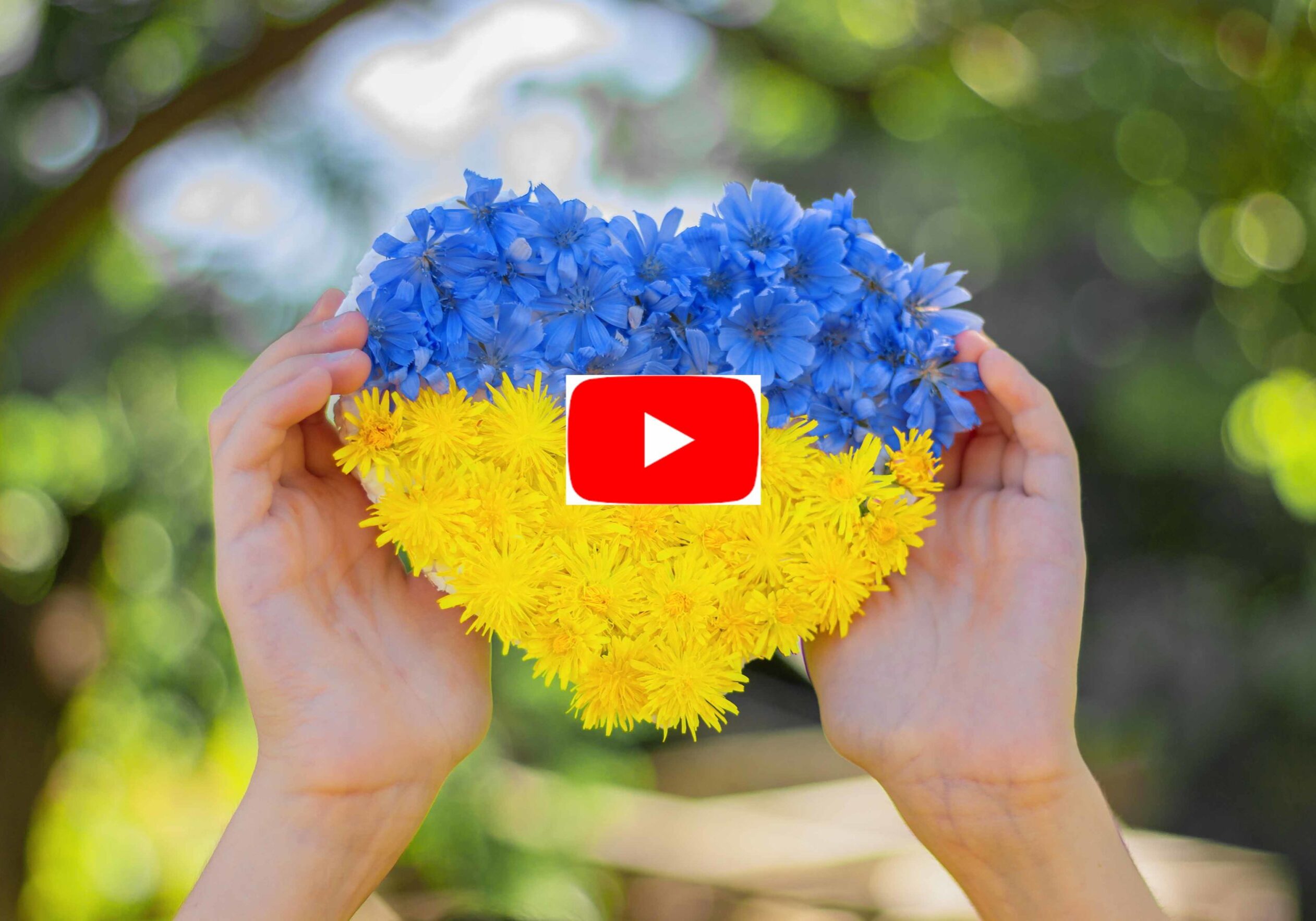 heart made of blue and yellow flowers in the hands of a child. Independence Day of Ukraine, Ukrainian flag.
